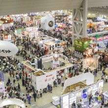 昌順寵物用品廠 專注打造愛寵高品質(zhì)生活