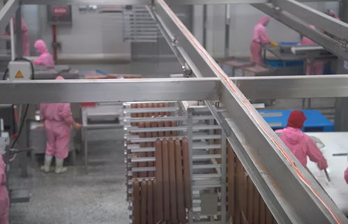 探訪山東乖寶 我心目中的寵物食品