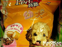 【馬鞍山寵友分享】聊聊咱家毛孩子最愛吃的那些寵物食品品牌